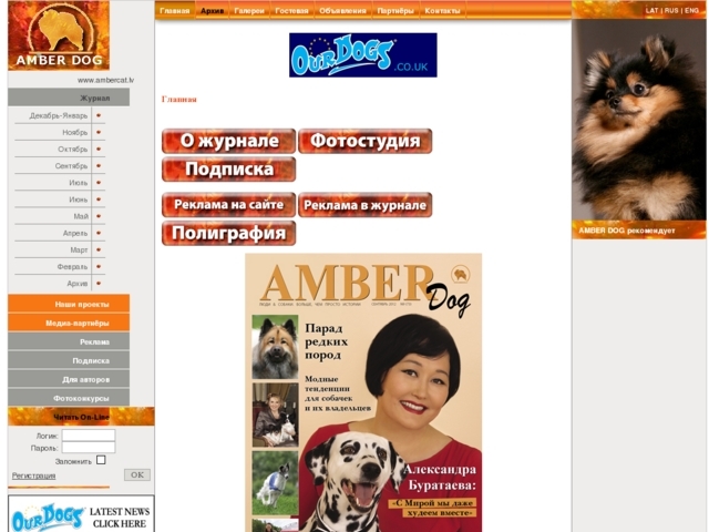 Amber Dog žurnāls, Amber Studio, SIA